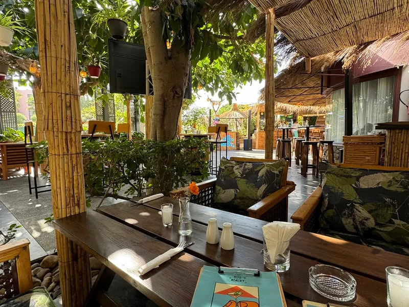 Cabana Garden — Photo 4